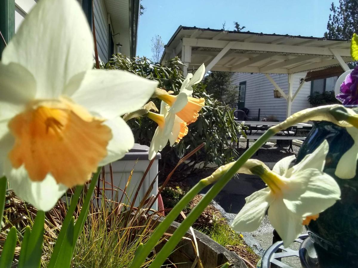 The Orca Inn Friday Harbor Exterior foto